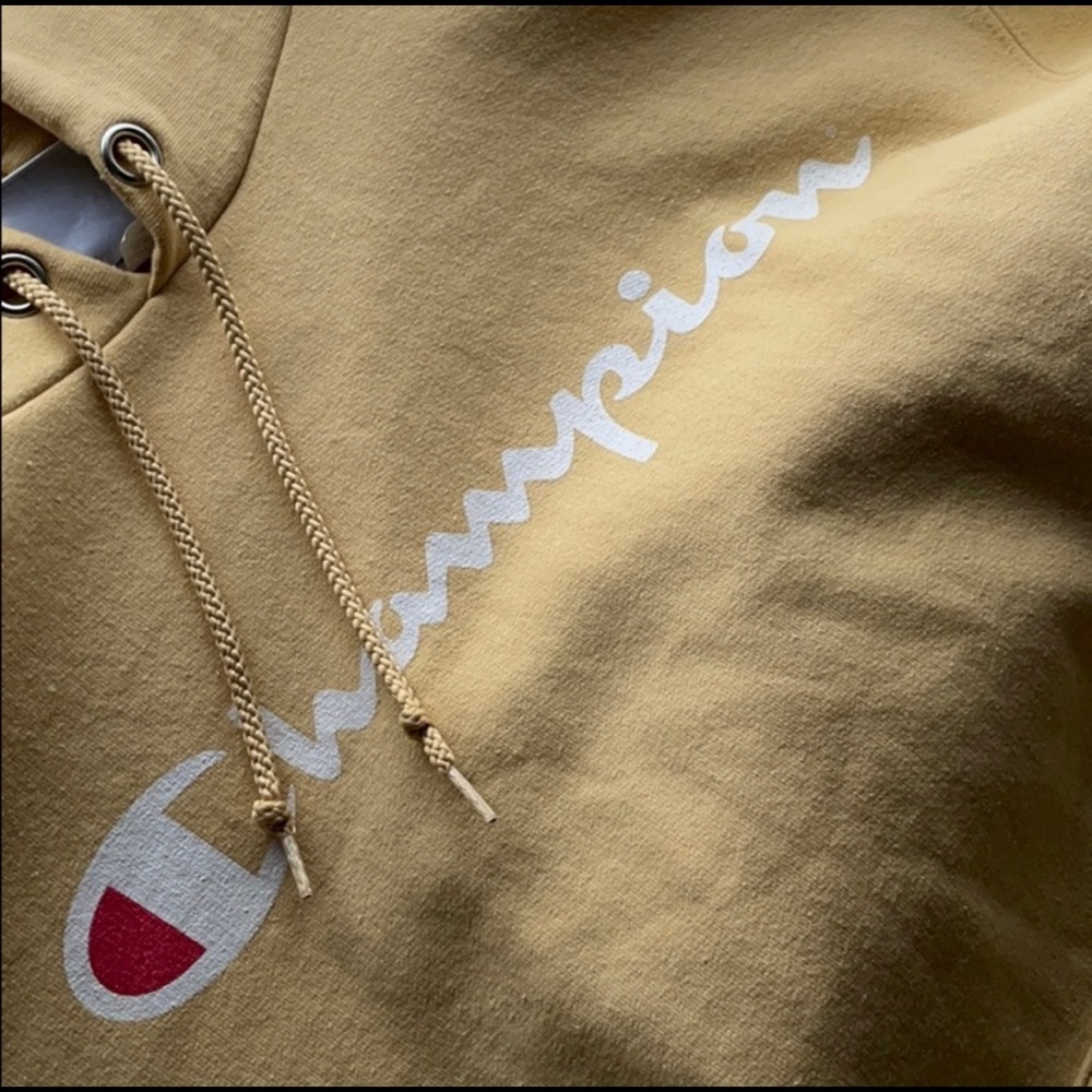Champion Hoodie / Sweatshirt